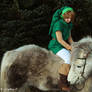 Link OoS - Hey! You are not Epona!