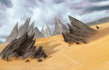Dune zone