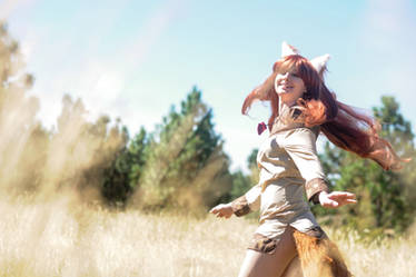 Spice and Wolf - Horo