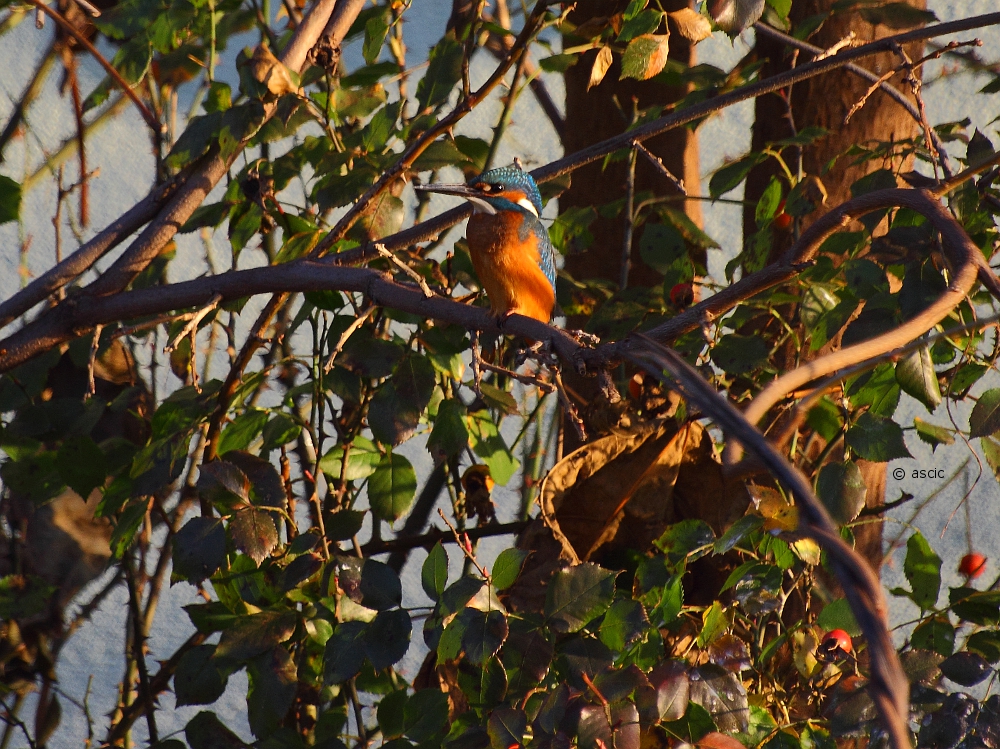 On the observation point