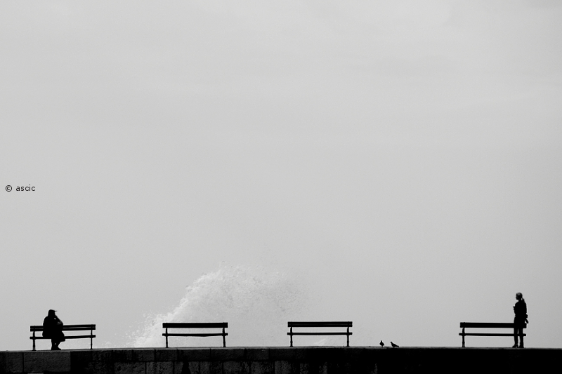 On the breakwater