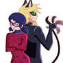 lady bug and chat noir