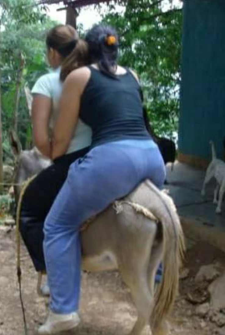 Donkey Riding Alien Double riding in donkey by pacoketo on DeviantArt