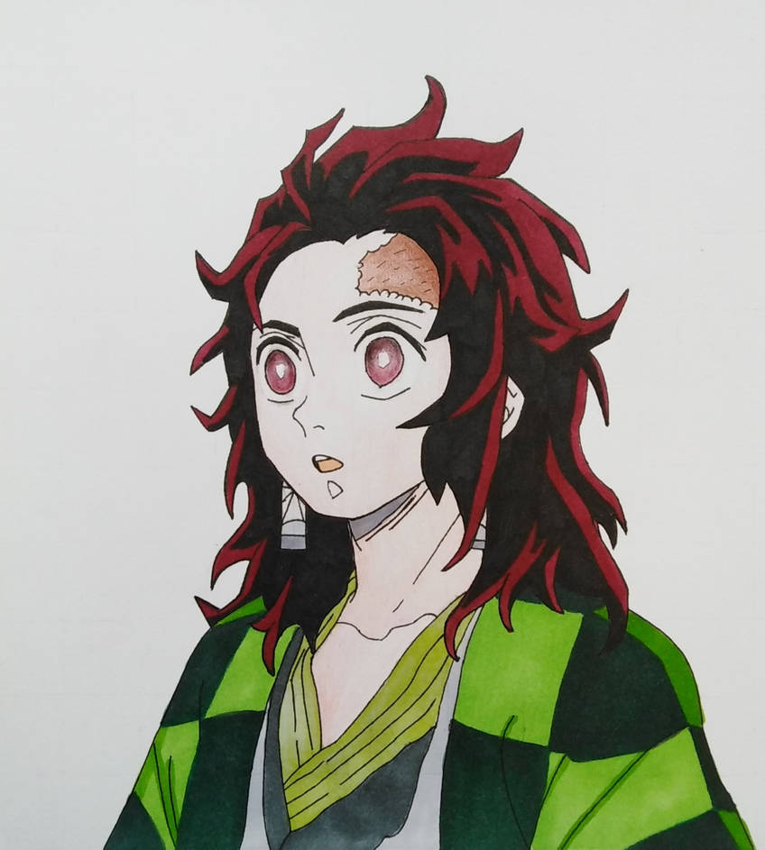 What if Tanjiro didn't cut his hair by AladdinDragonson42 on DeviantArt