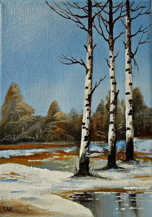Original Oil Painting Silver Birch Tree by Pandalanda Original Oil Painting Silver Birch Tree by Pandalanda
