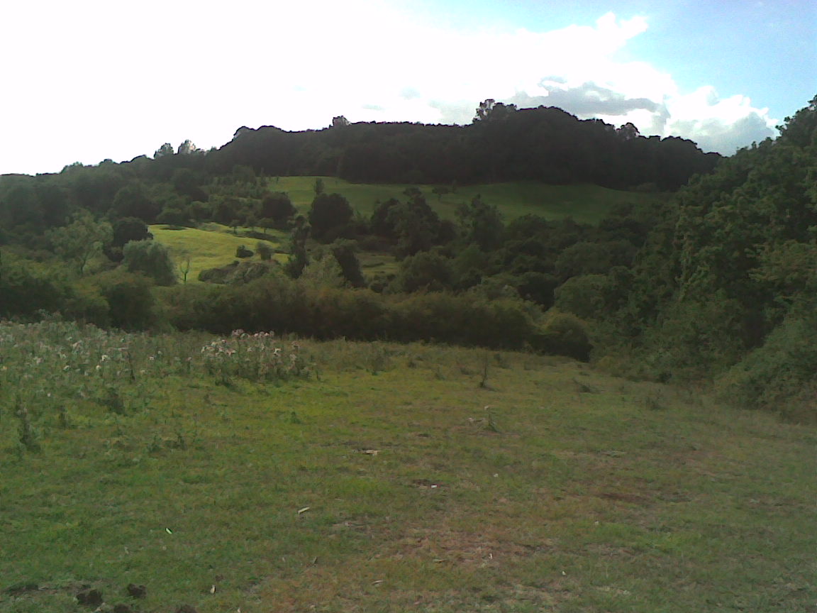 Hadleigh - Chapel Lane Park