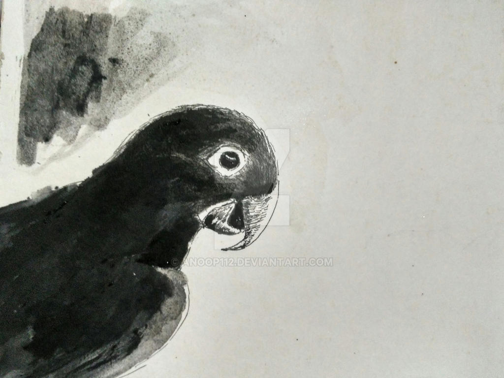 Rio bird drawing by anoop112 on DeviantArt