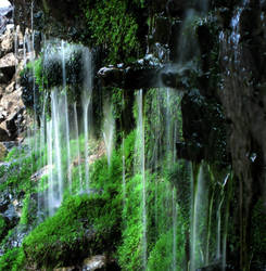 Mossy Waterfall