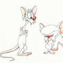 Pinky and The Brain