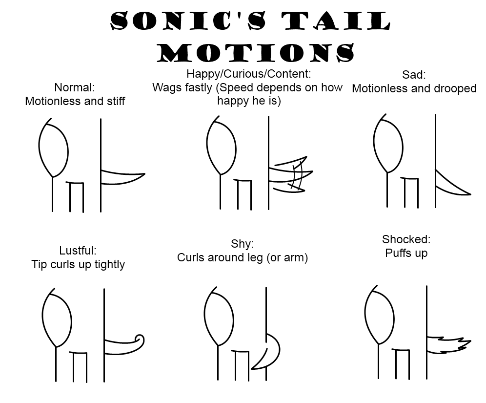 Tail Ref A tail reference :3 by GamingInGreen13 on DeviantArt