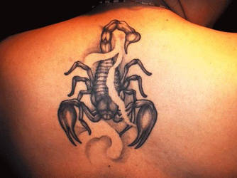 scorpion