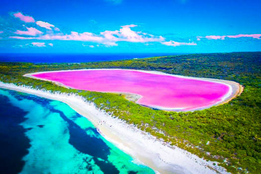 Australian Pink Lake