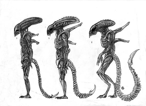 Alien evolution...