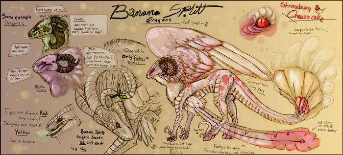 Banana Splitt species refsheet