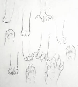 Explore the Best Paw Art | DeviantArt