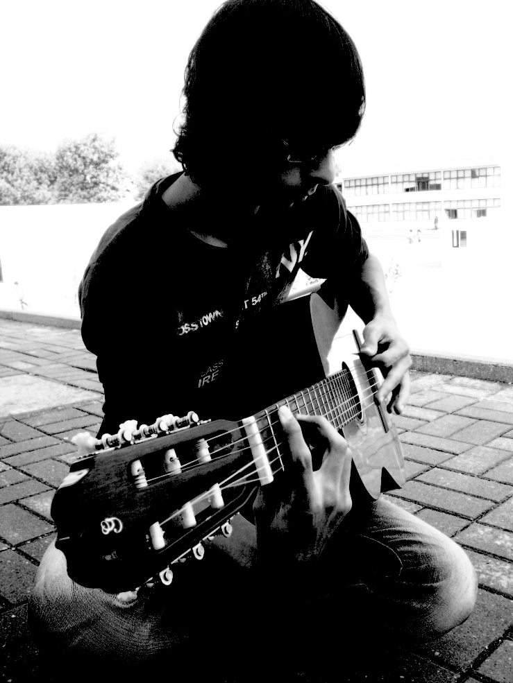 The Guitarrist