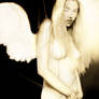 fallen angel redux