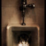 the ghost