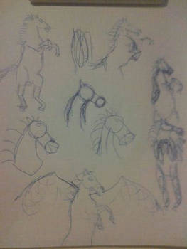 Horse sketching