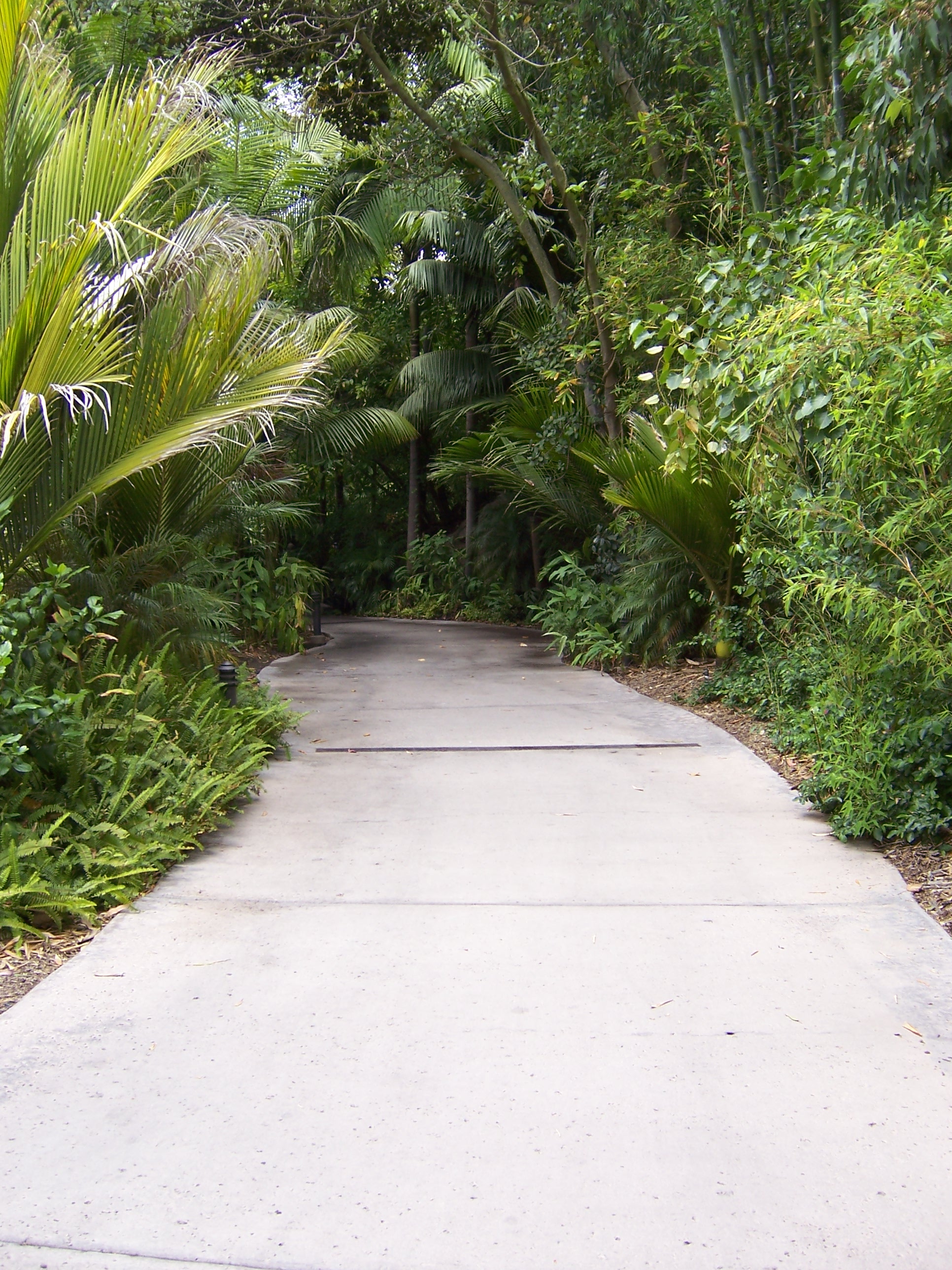 Greenery Path 1