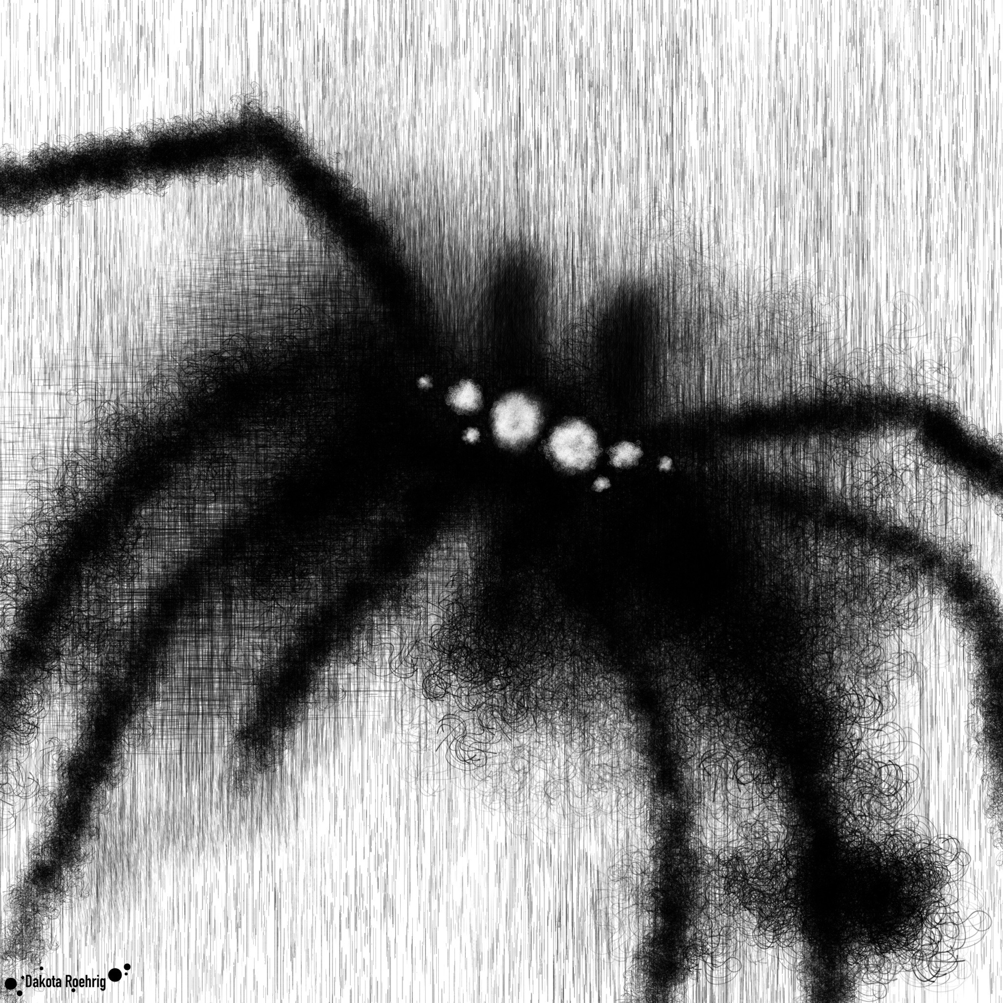 Spider Hand Shadow Shadow Spider by RoehrigDakota on DeviantArt