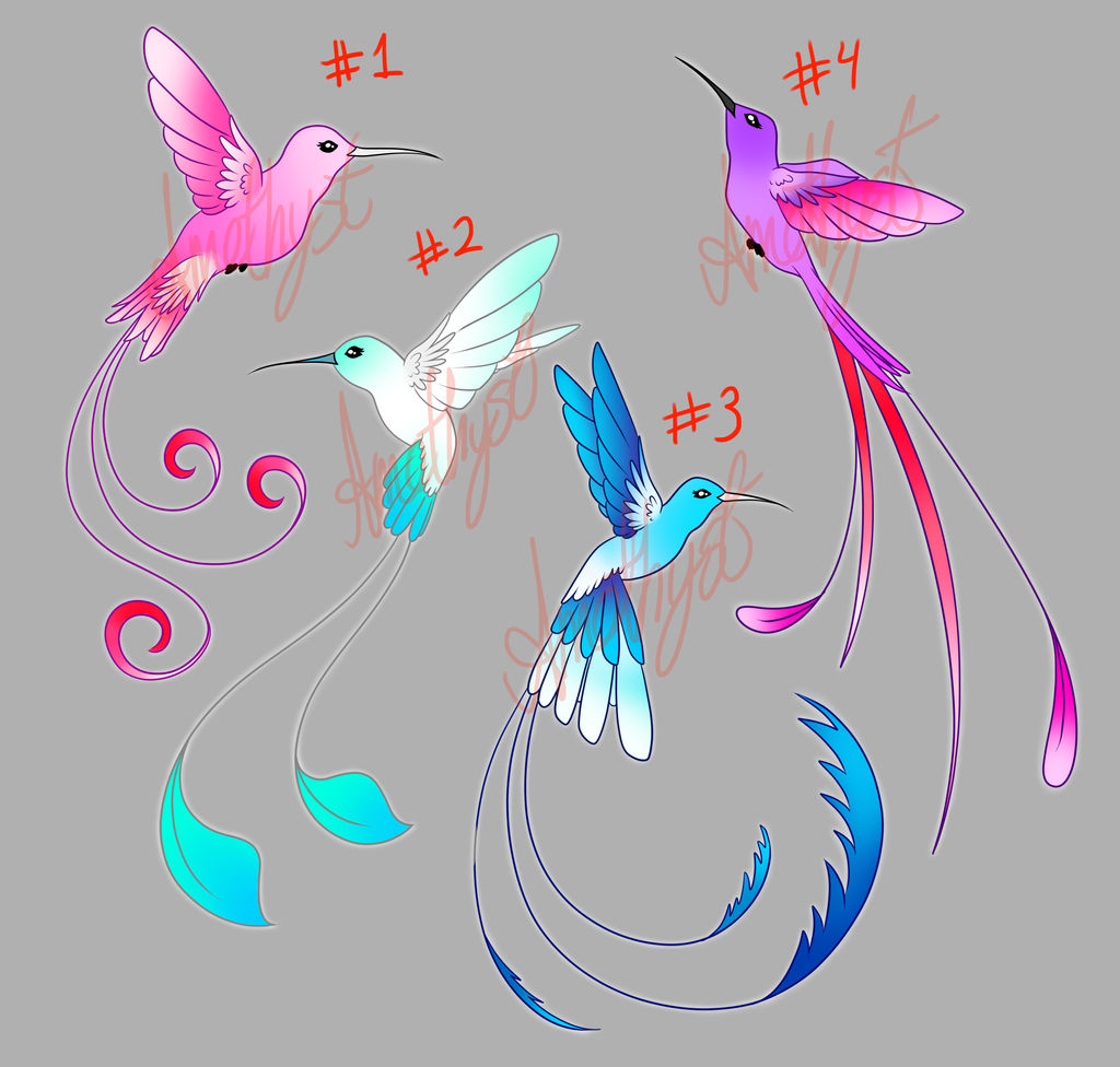 Deviantart Bird Designs Humming Birds Adopt Set 1 by AmethystCNArts on DeviantArt