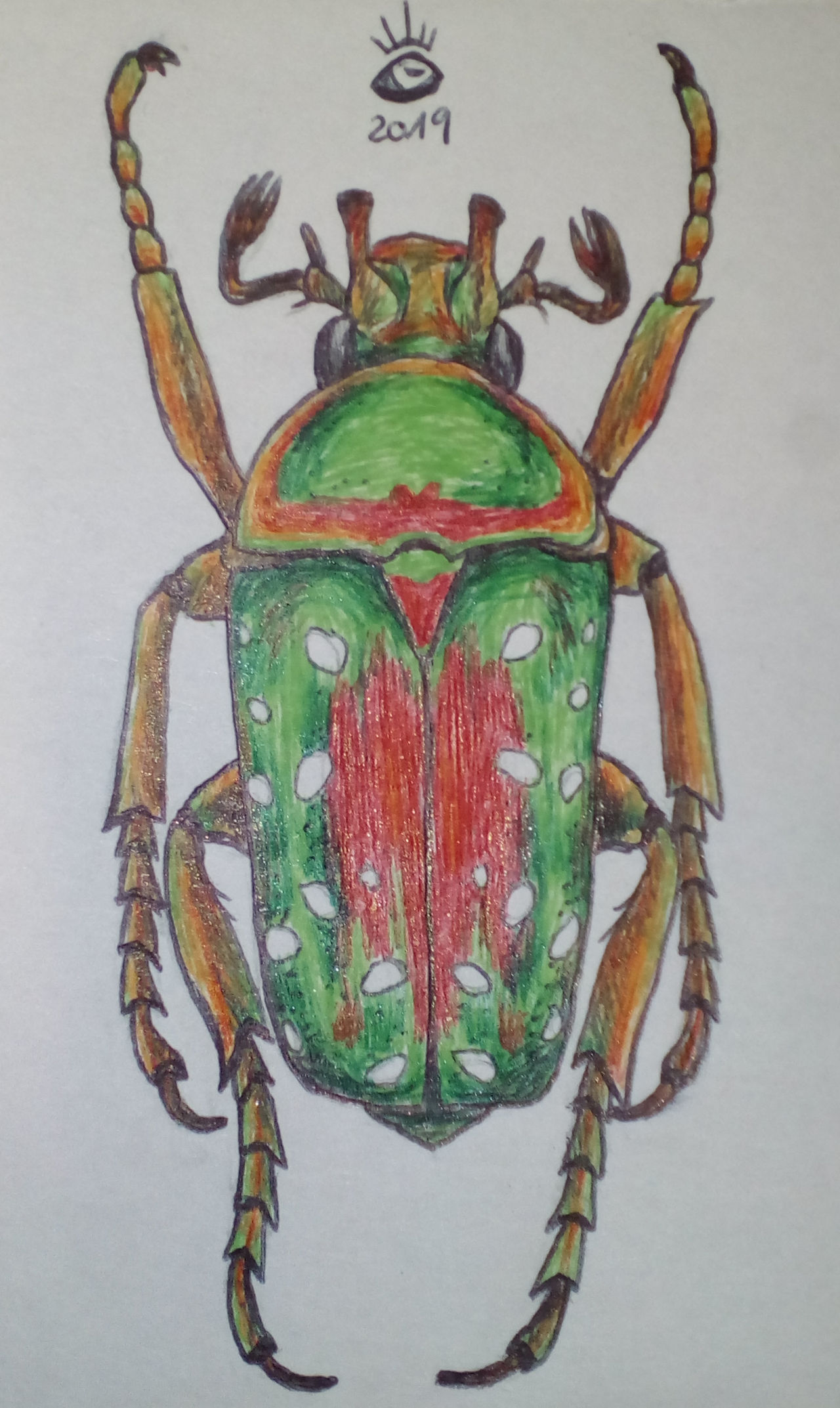 Insect Deviantart Insect Collection 18 by RattenPrince on DeviantArt