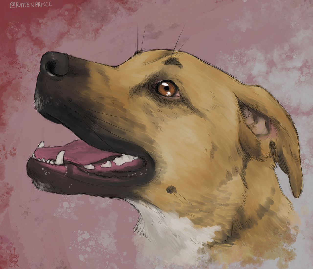 Toki Portrait by RattenPrince on DeviantArt