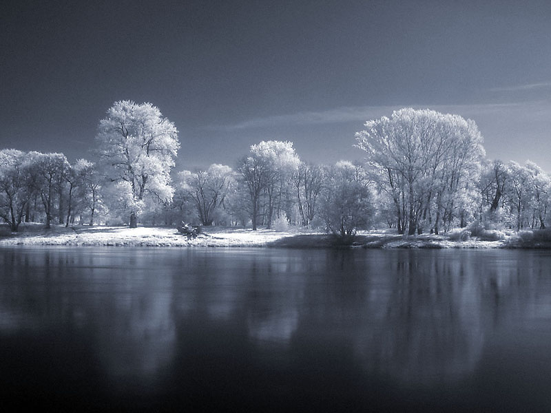 Infrared Landscape Part III