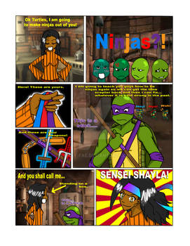 Project: TMNT Comic