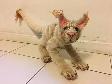 Explore the Best Cornkitten Art | DeviantArt