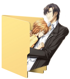 Skip Beat Folder Icon 3