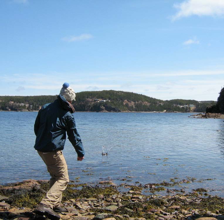 Skipping Rocks