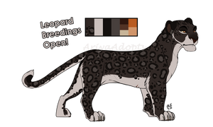 Leopard Breeding Sheet (Open) by AriyaAdopts