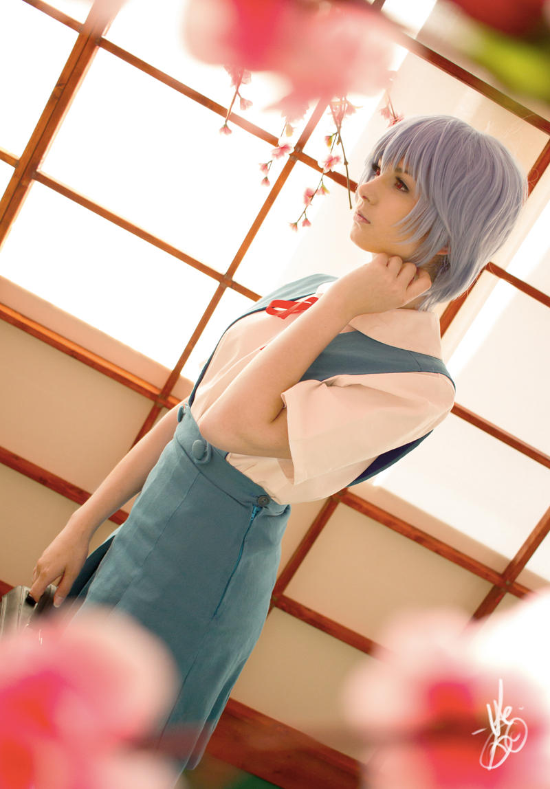 Rei Ayanami