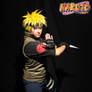 Jounin Naruto Cosplay