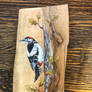 Woodpecker on a board