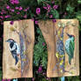 Woodpeckers on a boards