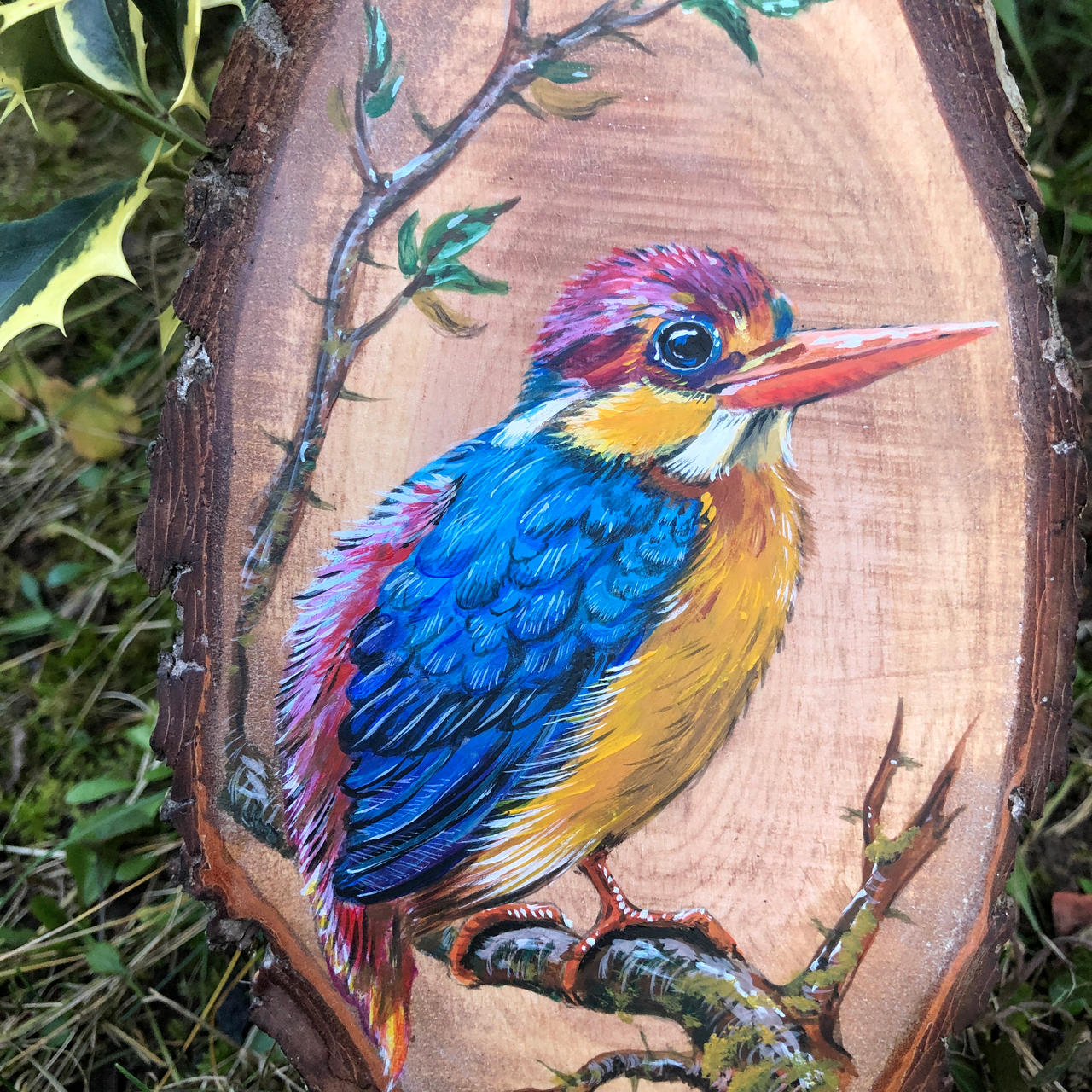 Ruby Kingfisher fragment by NatureArtJulia on DeviantArt