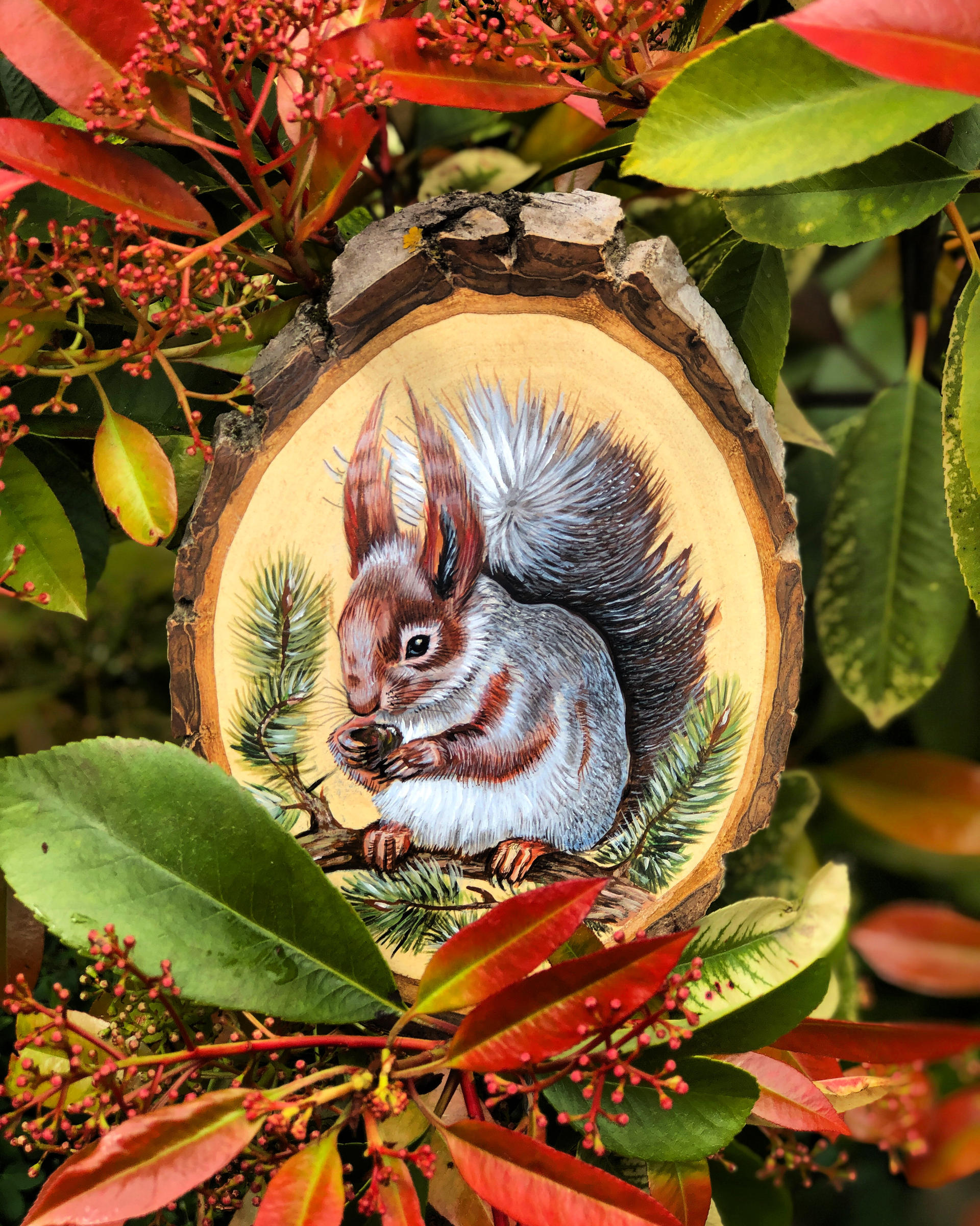 Squirrel Deviantart Squirrel II by NatureArtJulia on DeviantArt