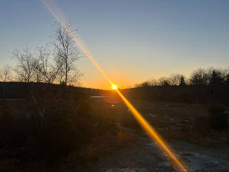 Meadow Sunset