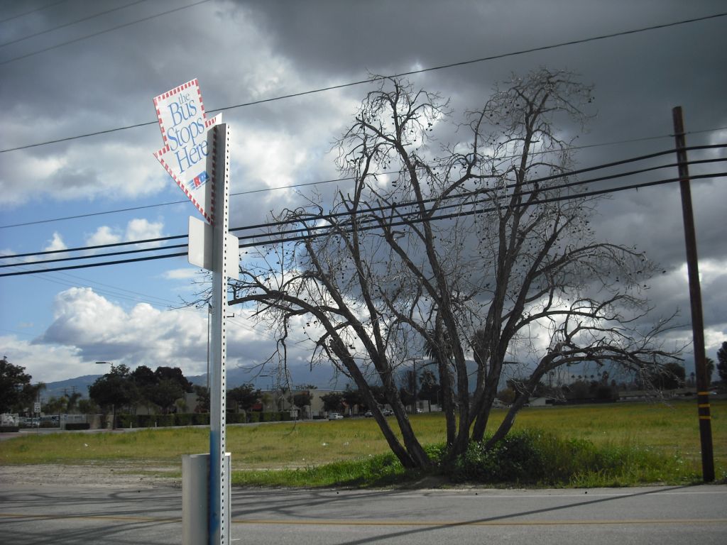 Hand of Hell - Bus Stop