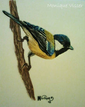 Drawing of a little bird ..