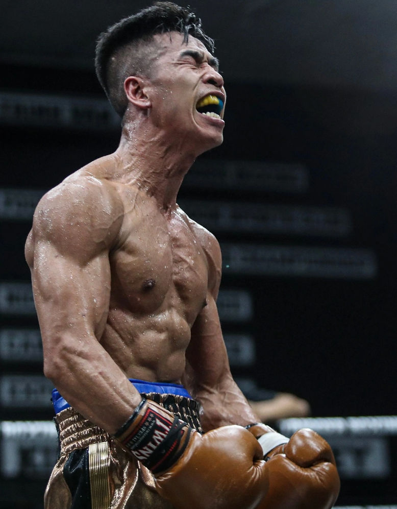 angry boxer by troioi821 on DeviantArt