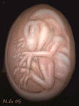 Raptor Egg by Rebmakash