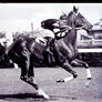 Phar Lap