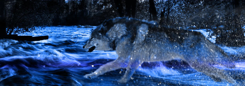 Water Wolf -Small-