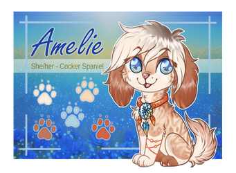 Cocker Spaniel Adopt CLOSED