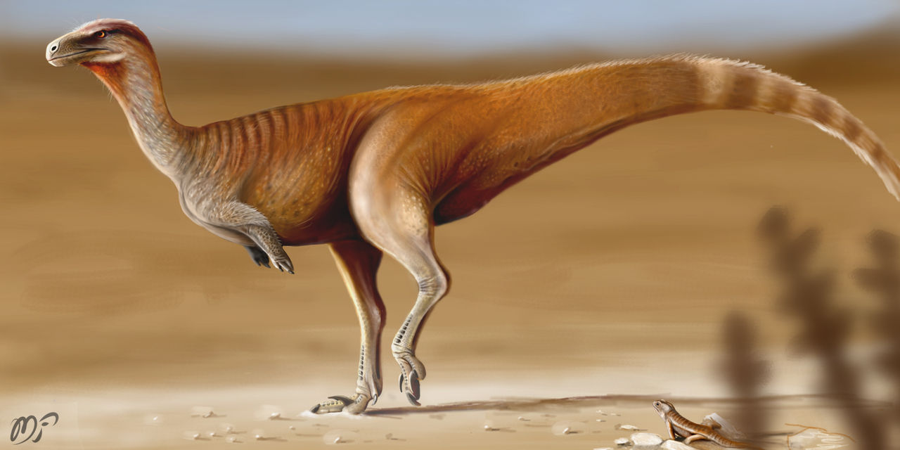 Vespersaurus paranaensis by Paleo-Lee on DeviantArt
