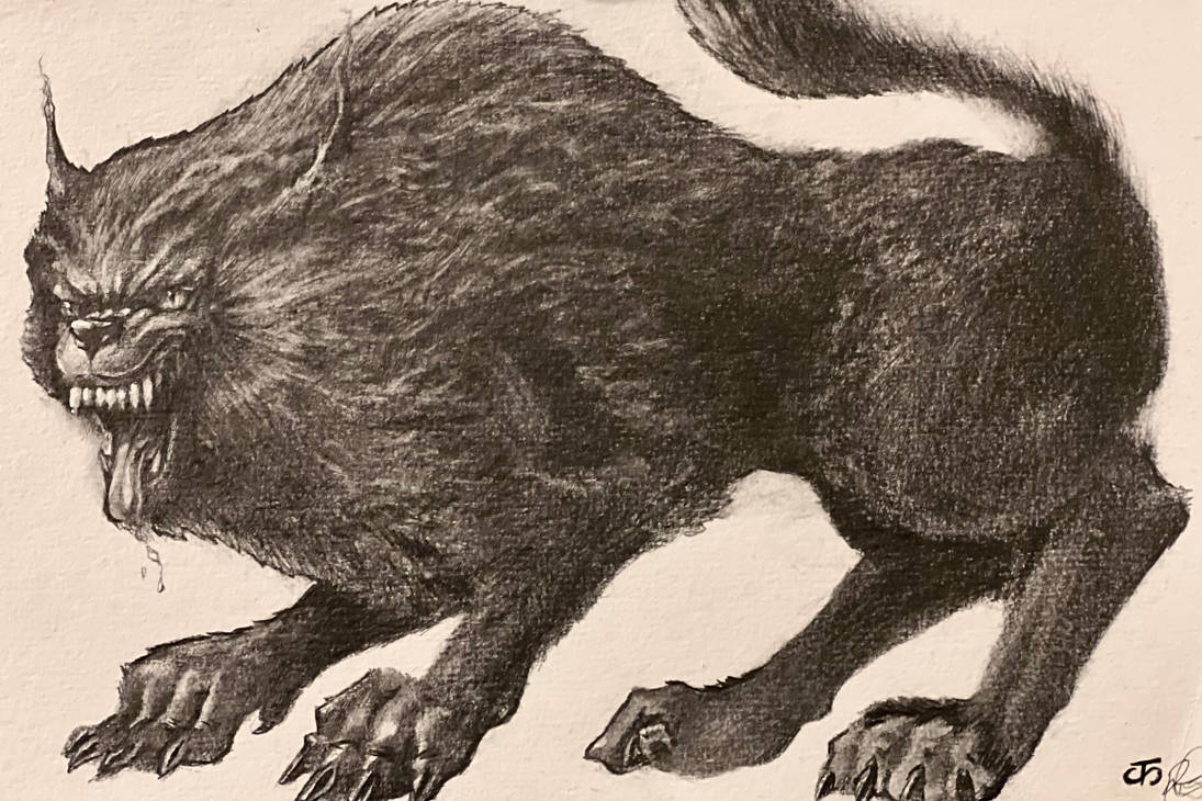 Real Werecat WereCat by ToddSpyder on DeviantArt